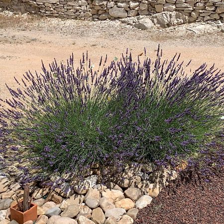 Au Fil Des Cevennes Panzió Saint-Jean-de-Maruéjols-et-Avéjan Kültér fotó